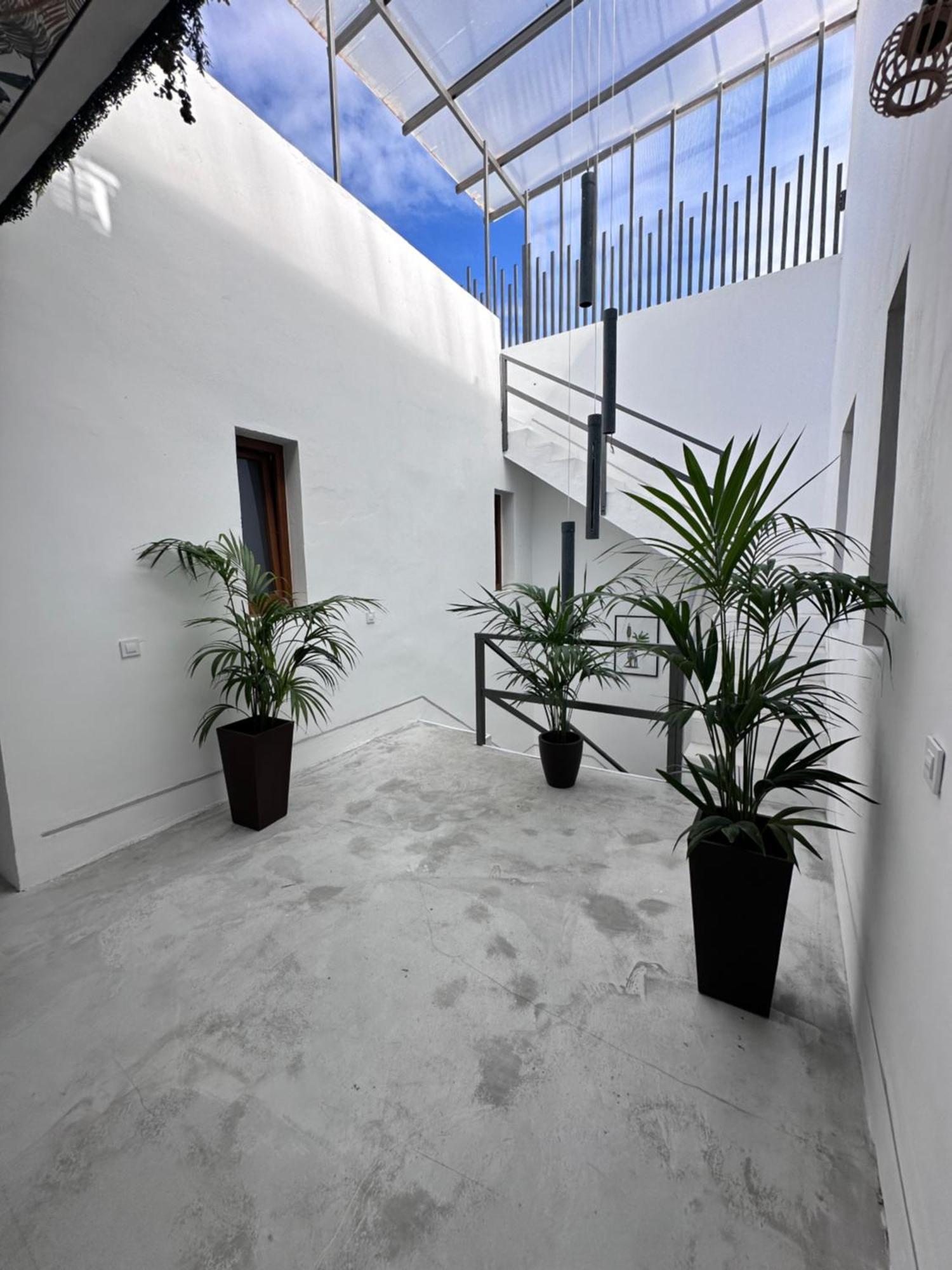 Euphorbia Suites Los Silos Exteriör bild